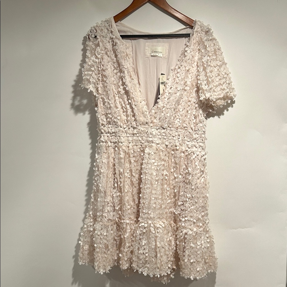NWT Anthropologie Ivory Somerset Mini Floral Appliqué Mini Dress